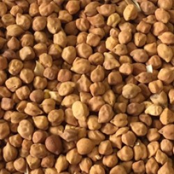 Chick Peas Desi  Chick Peas Desi