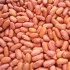 Light Red Kidney Beans