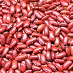 Red Kidney Beans Red Kidney Beans
