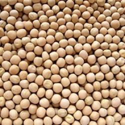 Yellow Peas Yellow Peas